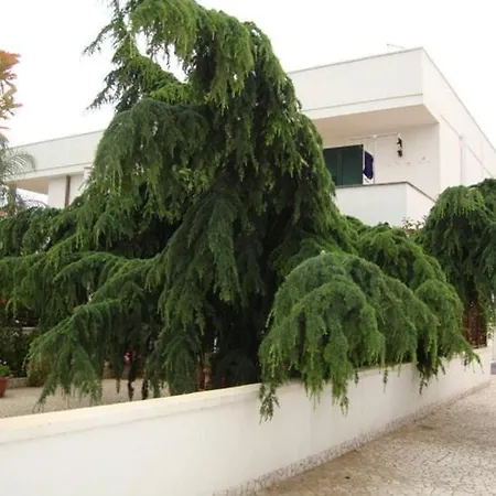 Soleluna